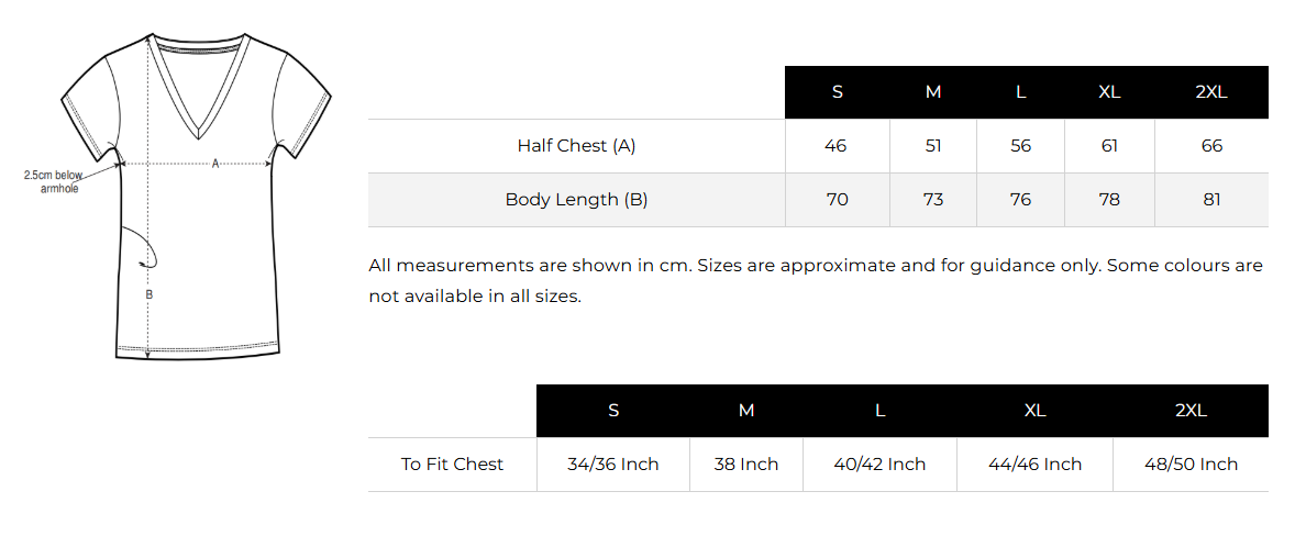 Men's V Neck T-Shirt